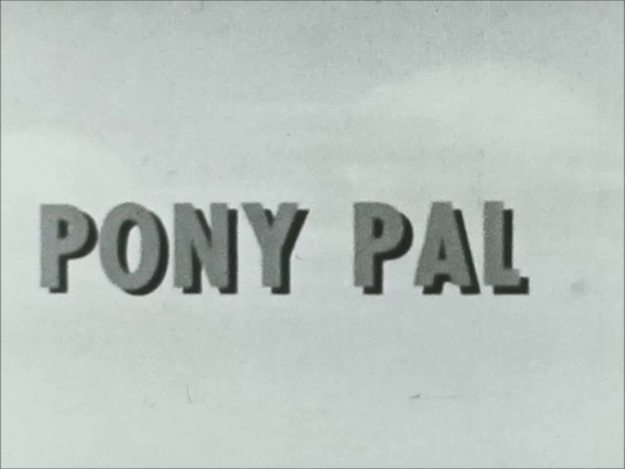 Pony Pal SD