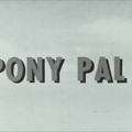 Pony Pal SD