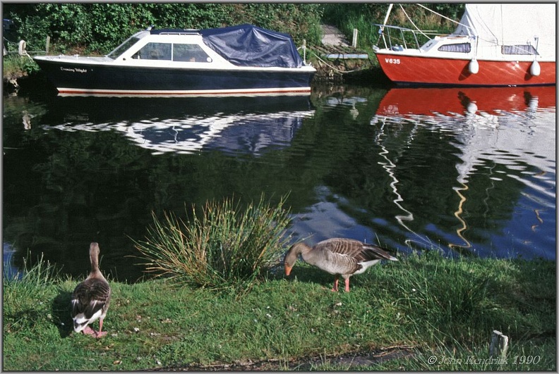 03 Geese and Boats Norfolk Broads+wm+bdr_1000w.jpg