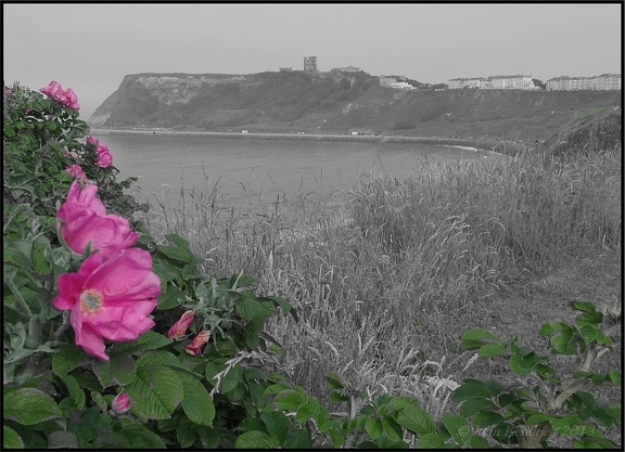 Scarborough Castle (semi monochrome)