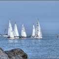 2013 North Sea Yacht Race Start