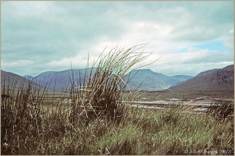 Gloomy Landscape 1978.07 #04 Kodachrome_a+wm+bdr_1000w.jpg