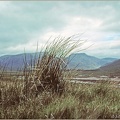 Gloomy Landscape 1978.07 #04 Kodachrome_a+wm+bdr_1000w.jpg
