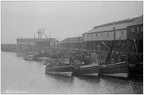 Fishing Fleet, Scarborough Harbour