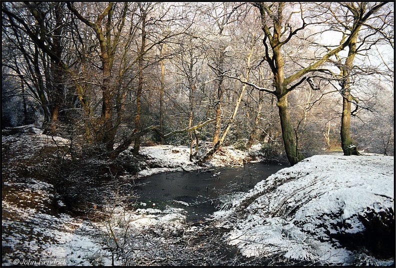 5.023a Epping Forest Winter Woodland