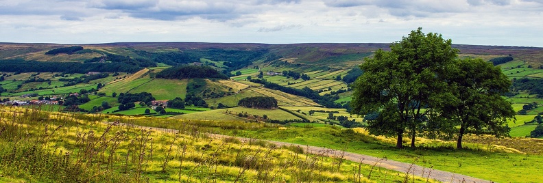 Rosedale from Bank Top