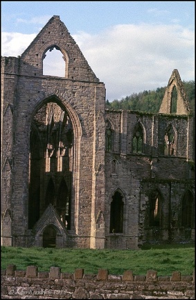 5.081 Tintern Abbey