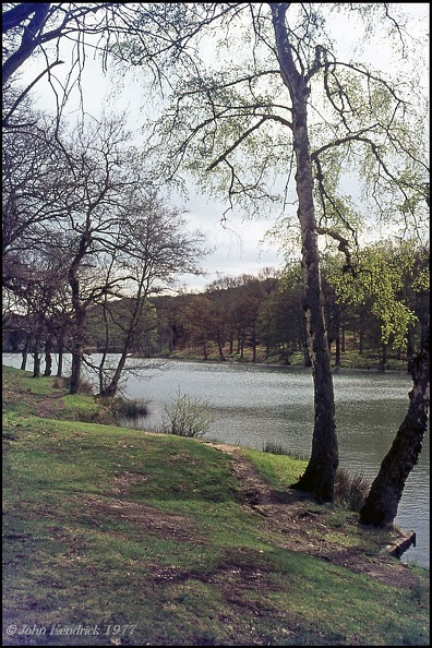 5.096 Connop Pond Forest of Dean+wm+bdr_1000h.jpg