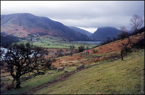 6.184 Buttermere Valley