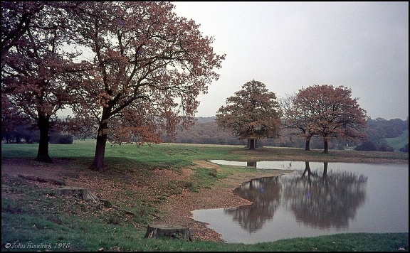 5.018 Connaught Water, Epping Forest, Essex