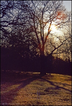 5.020 Epping Forest