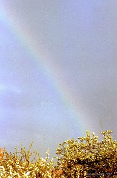 5.075 Rainbow