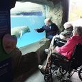 Watching the Sea-Lions