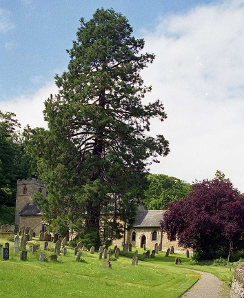 Ebberston Church, North Yorkshire
