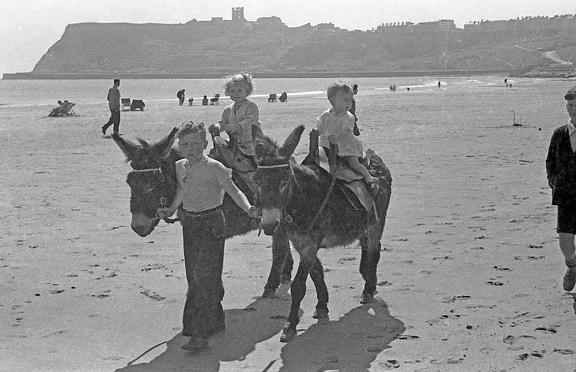 Donkey Ride