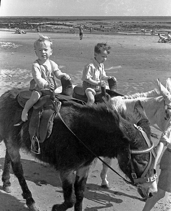 Donkey Ride