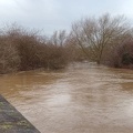 River Derwent in full spate December 2015