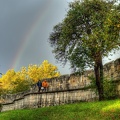 York City Walls and Rainbow