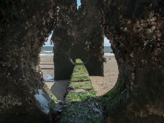 Through the Groyne