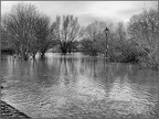 Flooded Derwent, Norton