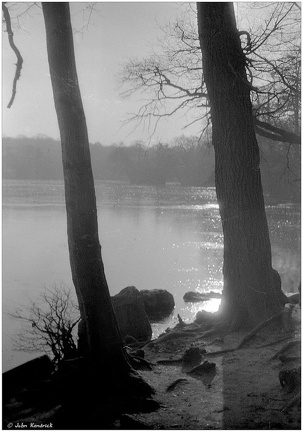 Connaught Water, Epping Forest