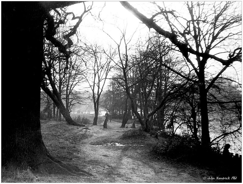 Beside Connaught Water, Epping Forest, Essex