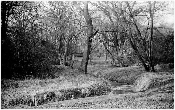 Feeder Stream to Connaught Water, Epping Forest, Essex