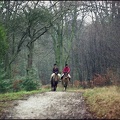 Horse Riders, Epping Forest
