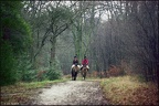 Horse Riders, Epping Forest
