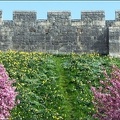 York City Wall in Spring