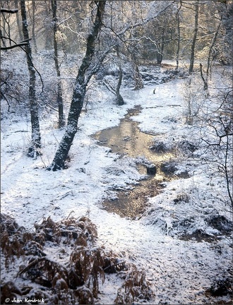 Frozen Stream,  Epping Forest
