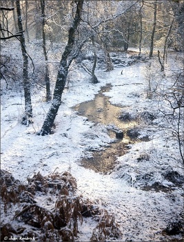 Frozen Stream,  Epping Forest