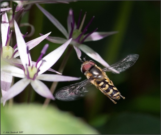 Cleared for Landing
