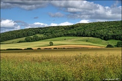Fields at Staxton