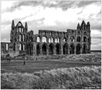 Whitby Abbey from Abbey House