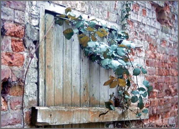 Abandoned