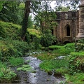 Mill Stream, Fountain's Abbey