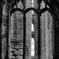 Window, Fountain's Abbey