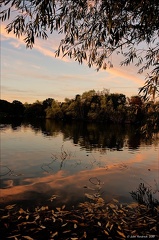 Last Light, Connaught Water