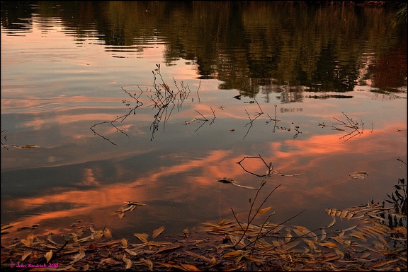 Twilight Ripples