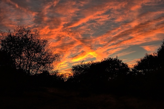 Shepherd's Delight