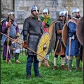 Viking Warriors