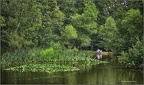 The Lake, Epping Plain