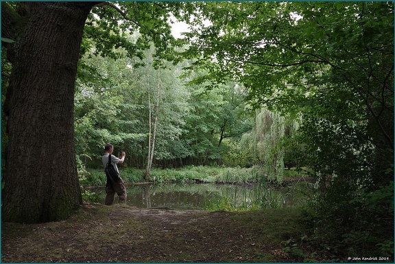Pond at Coopersale
