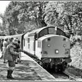 KWVR4 credit Anthony J Hil  edit 800