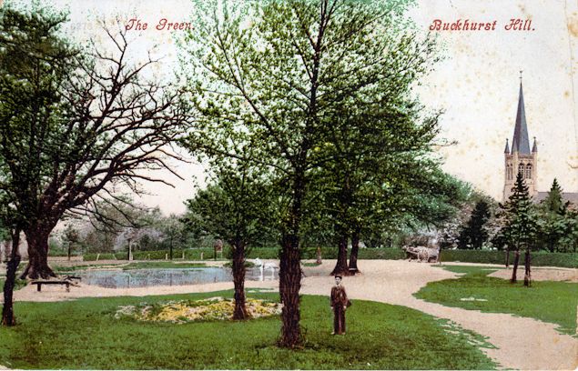 The Green. Buckhurst Hill.jpg