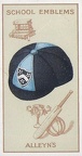 12- Alleyn's